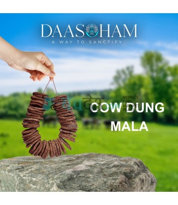 Making Cow Dung Cake