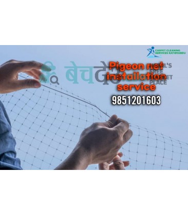 Best pigeon net installation service in Kathmandu at best Price